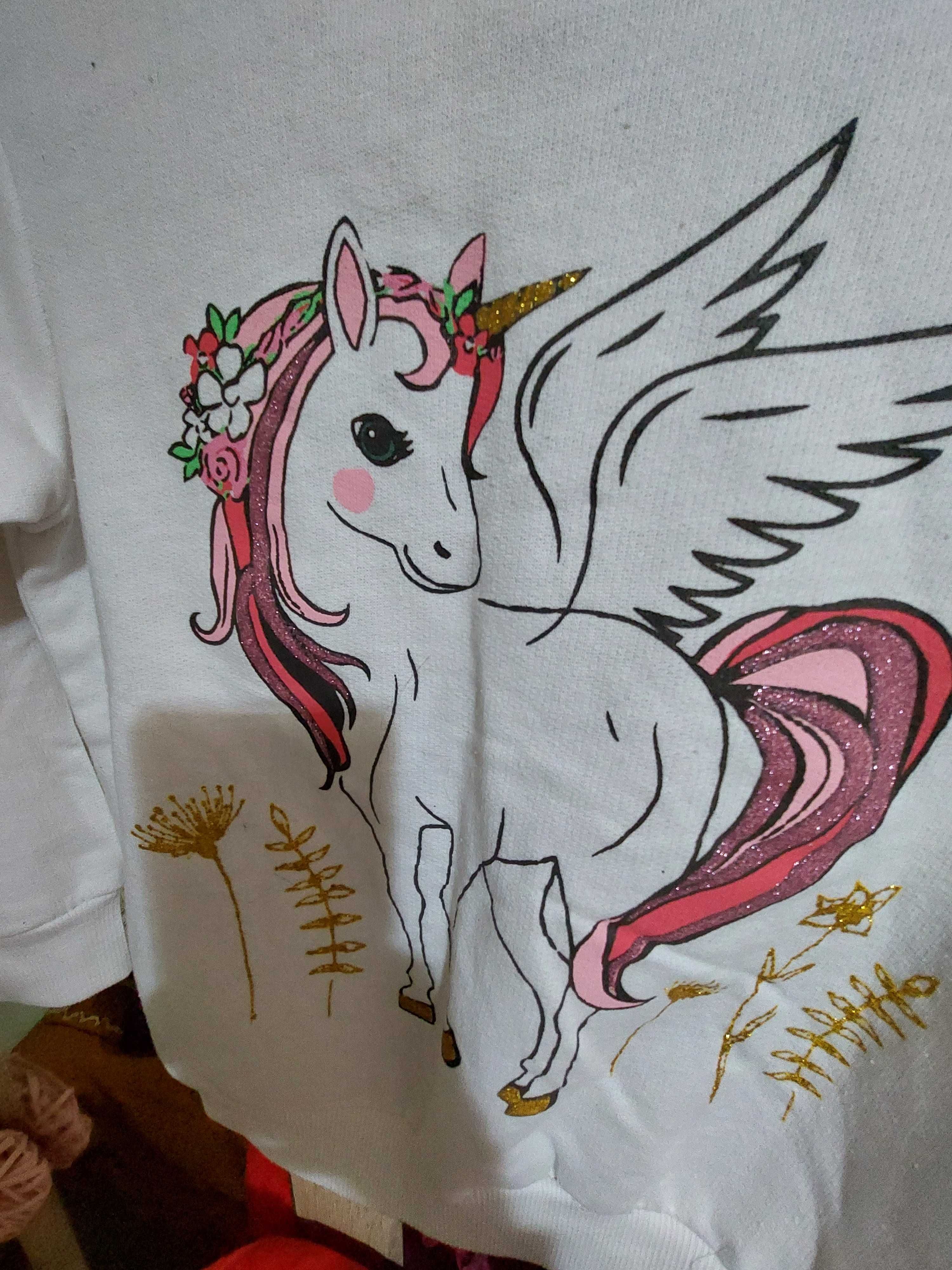 Bluză sport captusita cu unicorn