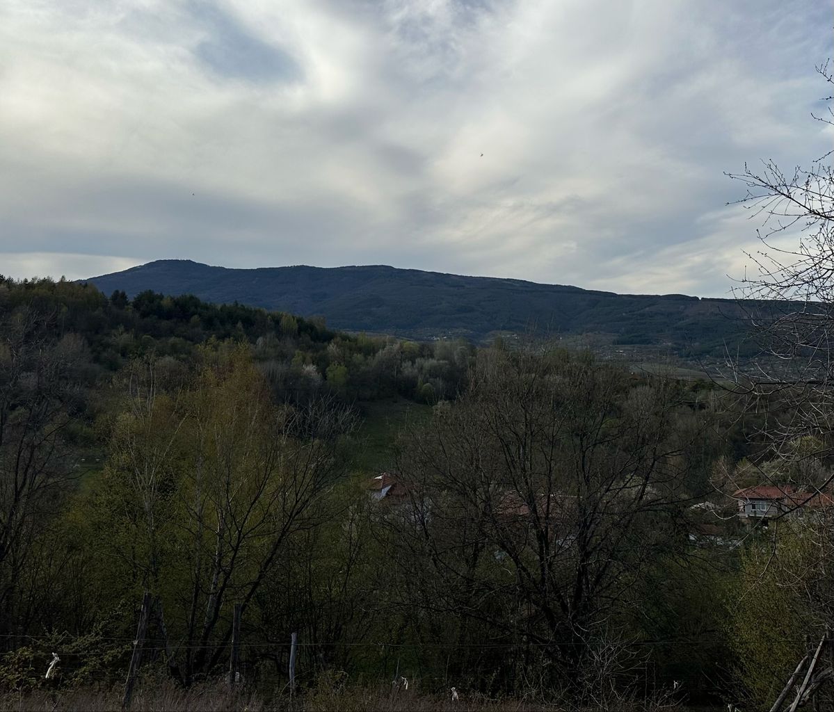Продава се Парцел в с. Грамаждано, Област Кюстендил - 1311 кв.м за 3 €/кв.м - Снимка #3