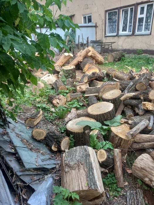 Продам дрова ,сухой