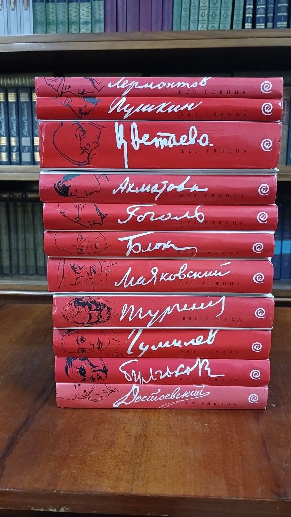 Необычные книги о русских писателях