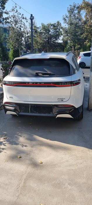 Voyah free Opollo tech 2025
