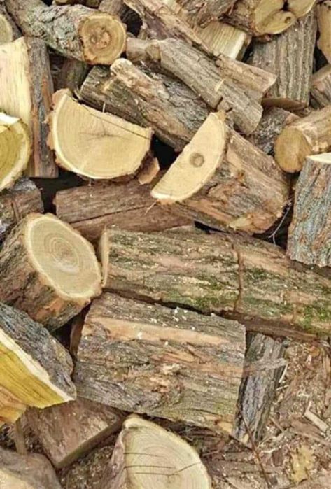 Lemne de foc esenta tare STEJAR, FAG, SALCAM
