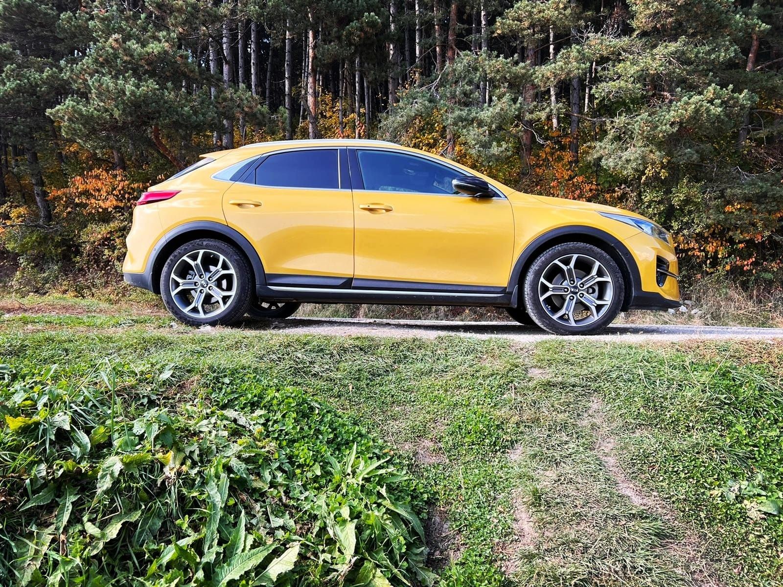 Oferta KIA Xceed ingrijita - preț competitiv