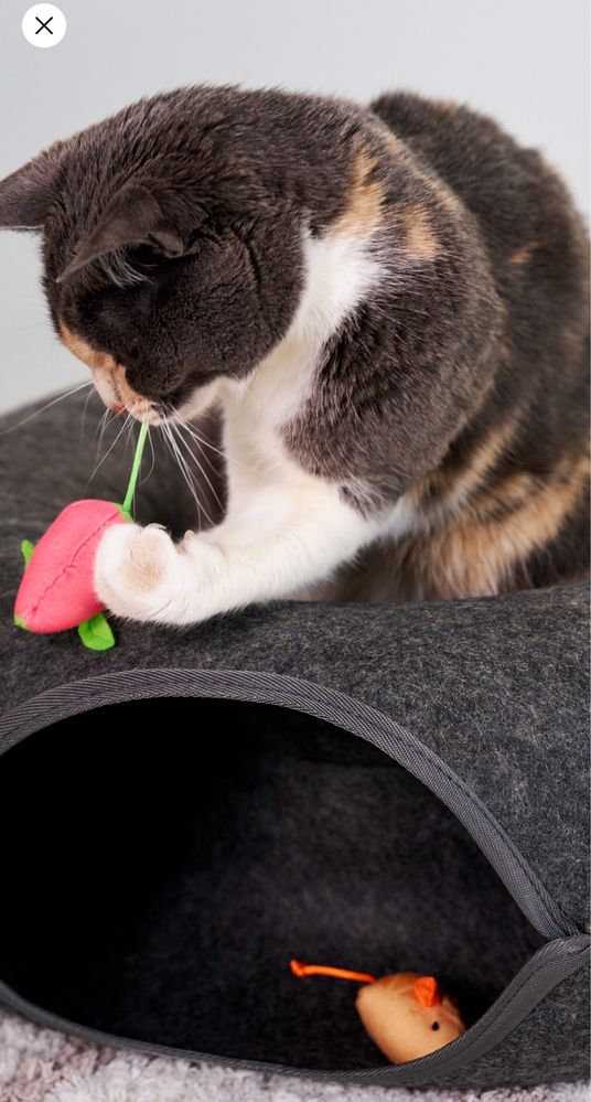 Легло за котка Ново