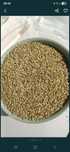 Vand orz 1100 tona,grau ,mazare,porumb,