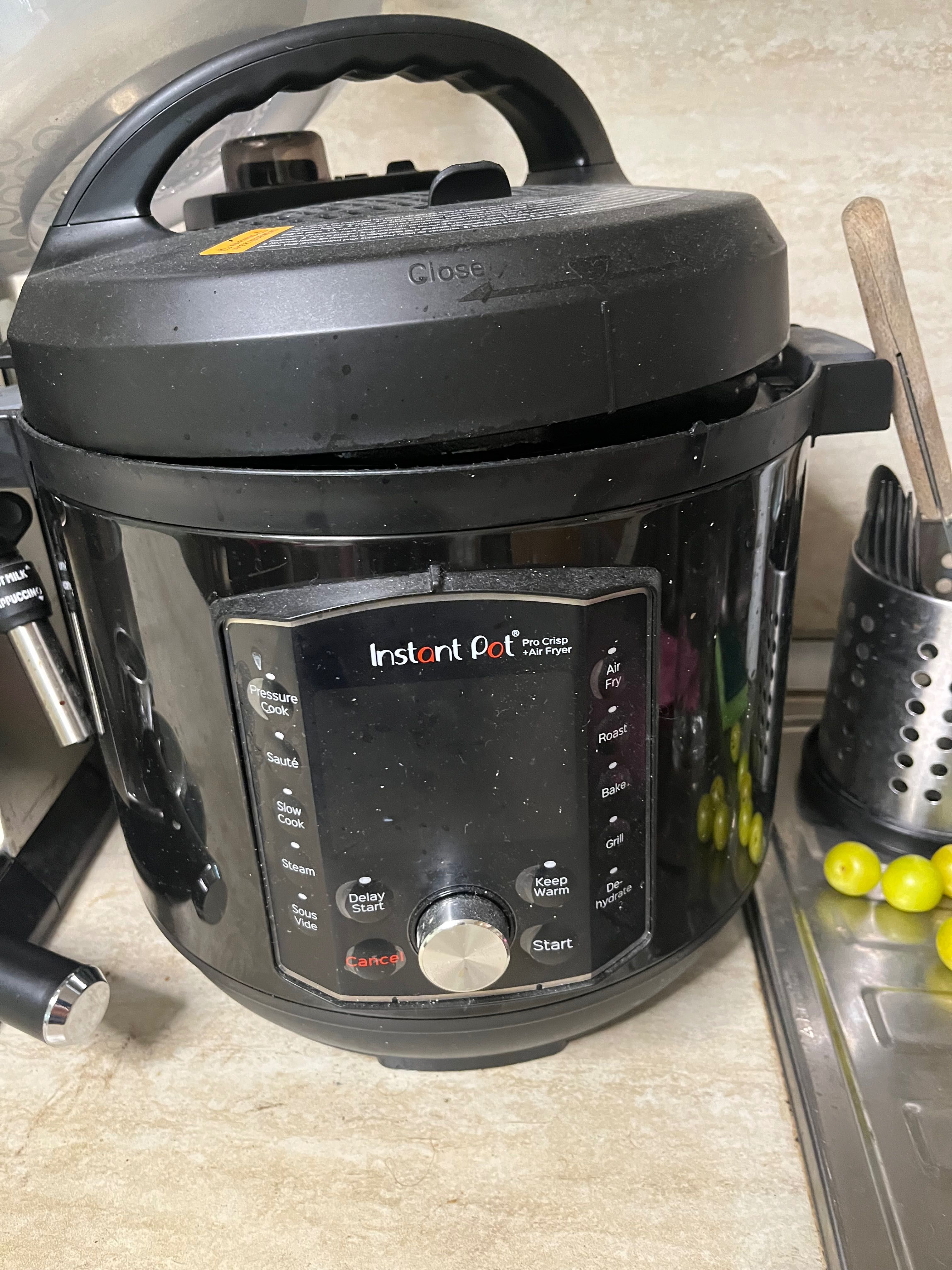 Instant Pot Pro crisp + air fryer