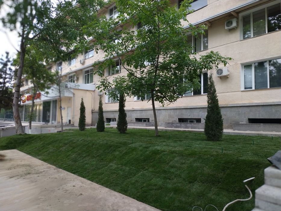 Gazon urugini sepamiza