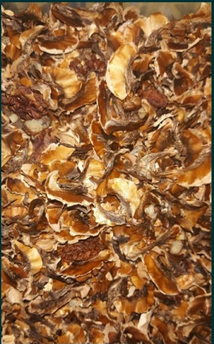 Скорлупа и перегородки грецкого ореха.