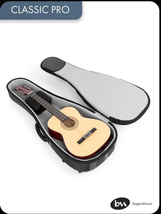 Гитара с чехлом.