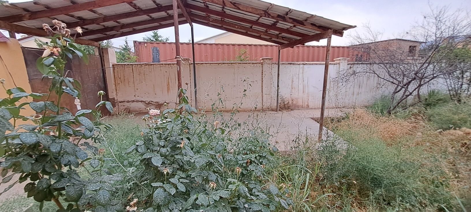Sherabod tumani Boģobod mahallasi