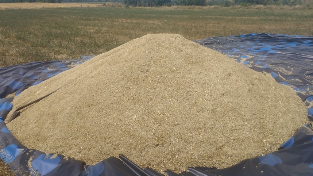 Ovăz 50 lei sac de 3 duble