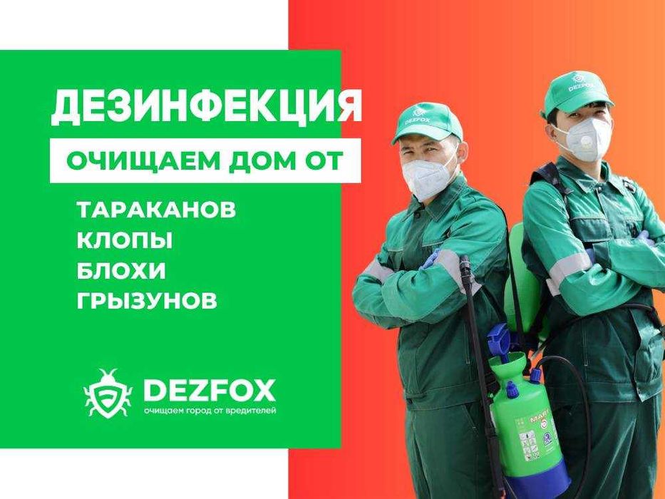 Дезинфекция Алматы Уничтожение Насекомых Таракан Мышей Крыс БЕЗОПАСНО