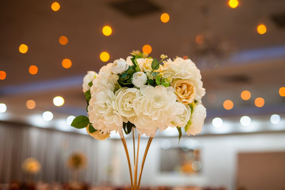 Foto-Video Evenimente - Disponibilitate imediata