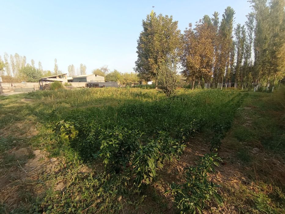 2 300 $ ga yer bor  . 2 300 $ га йер бор