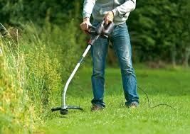 tund iarna , buruieni cu motocoasă , întreținere spații verzi