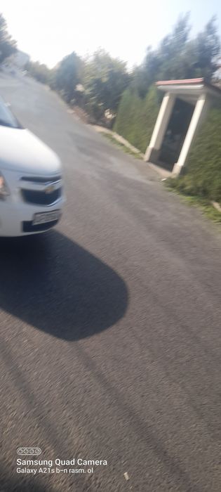 Archa kesish bog'bonlik hizmatlari