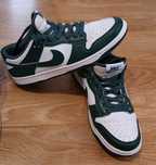 Nike Dunk Low Michigan