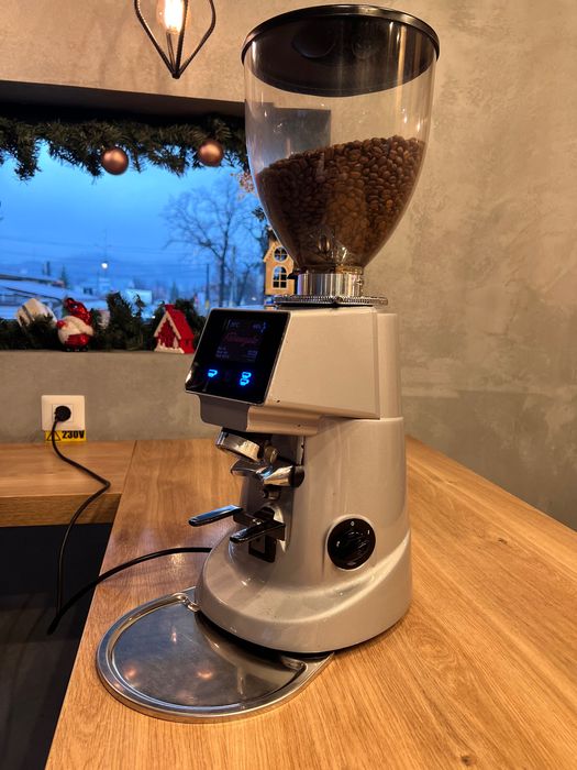 Râșniță de cafea Fiorenzato F64 EVO