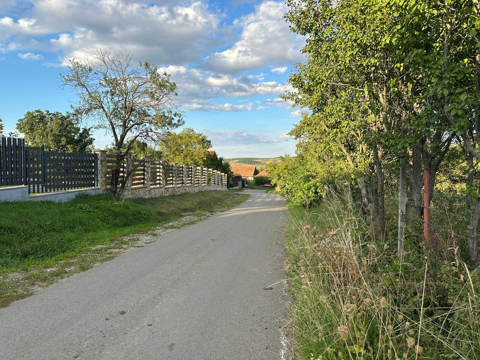 Teren intravilan 950 mp Corușu – panorama spre pădure