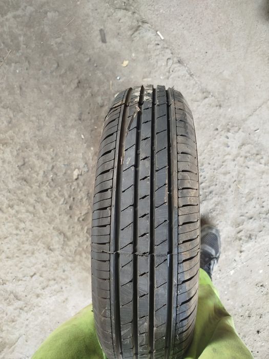 Ризина срочно р14лета