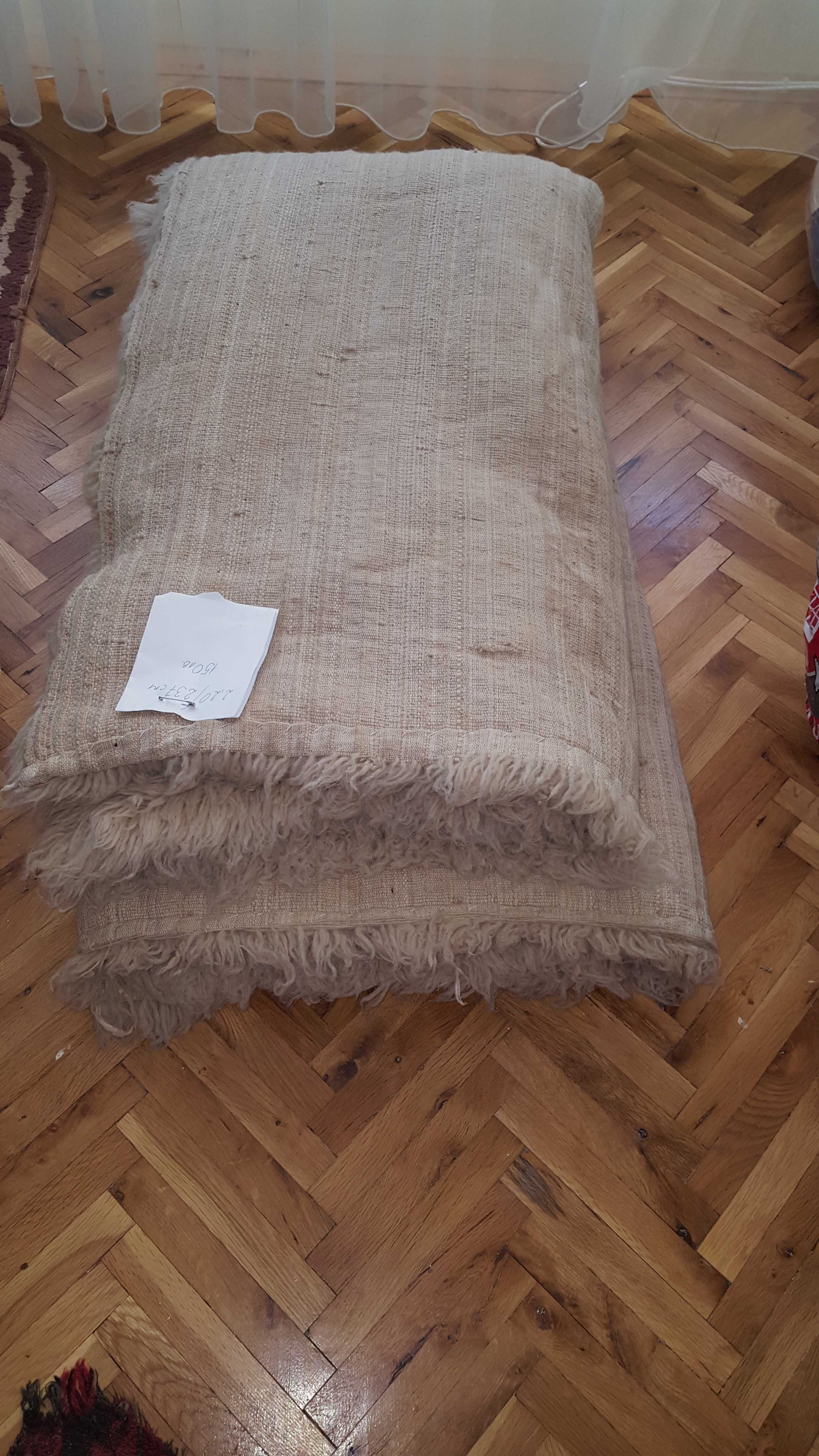 Нови вълнени китеници