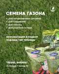 Семена Газона — от Yashil Baraka