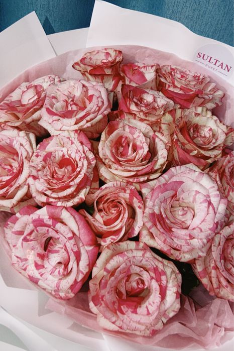 Город АТЫРАУ роза