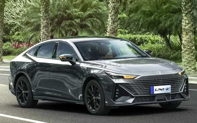 Дверь Шанган Унив 2022-/Changan Uni-v 2022-