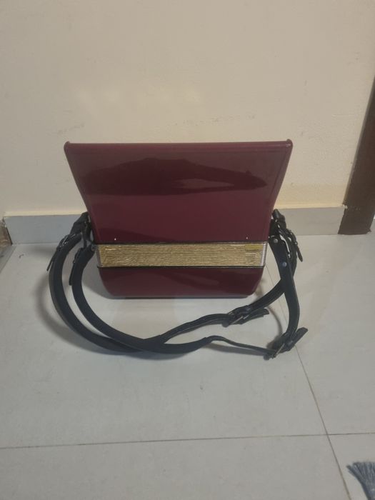 Acordeon mic Hohner
