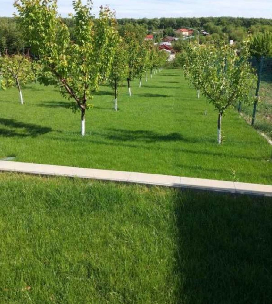 Gazon rulou si insemntare sisiteme de irigare oriunde in tara