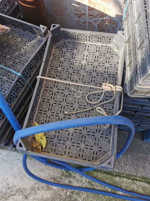 Пластмасови щайги за ягоди