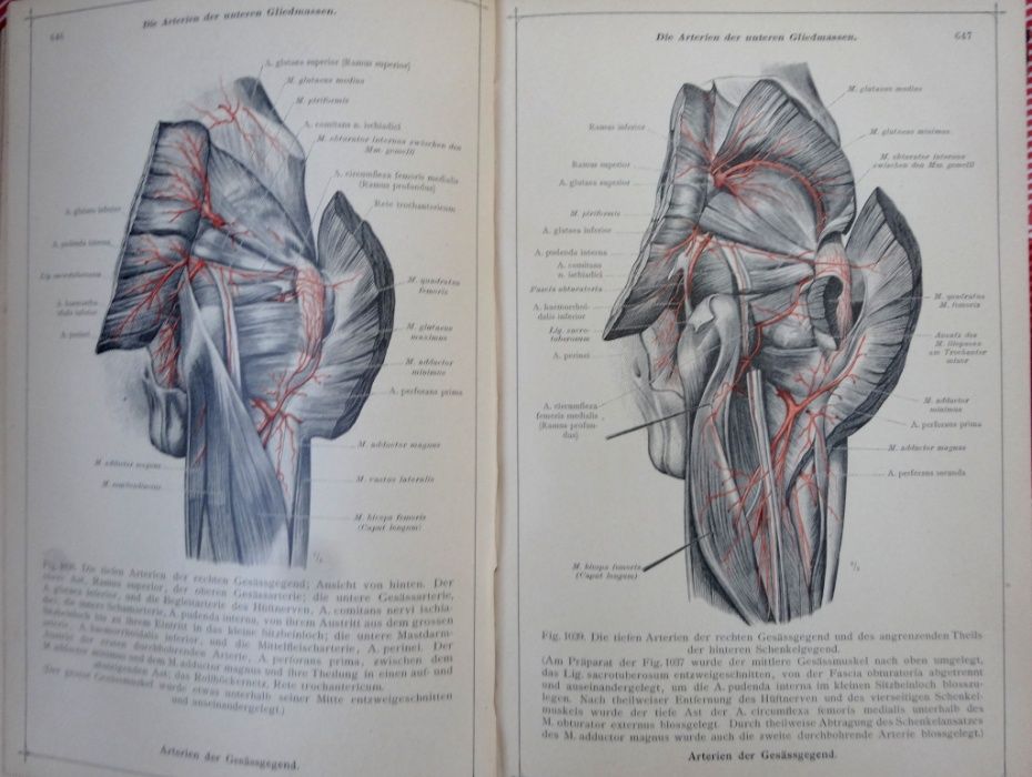 Антикварни книги - атлас анатомия - 2 бр.