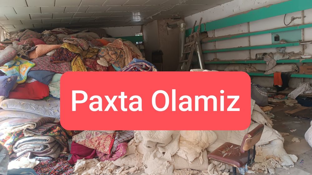Paxta Olamiz Пахта оламиз