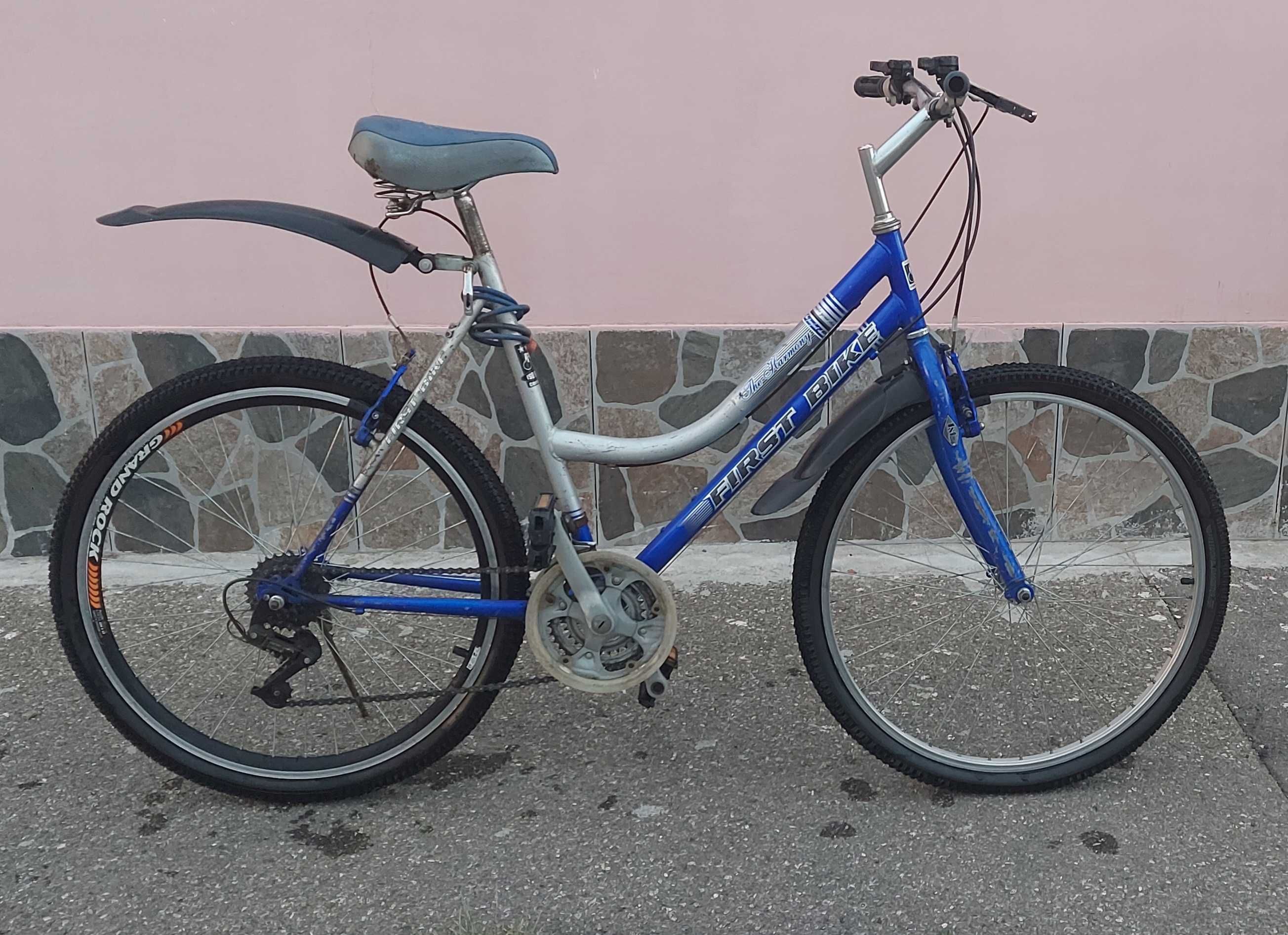 Bicicleta First Bike