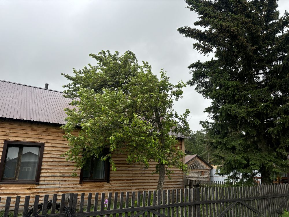Срочно Продам Дом в деревне