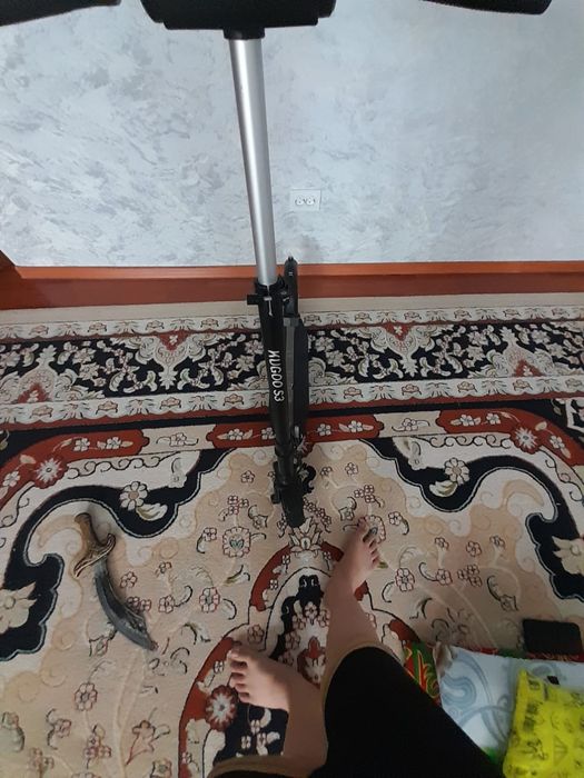 Кугоо с3 KUGOO S3