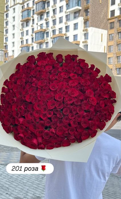 201 роза свкжая без обертки высокие розы