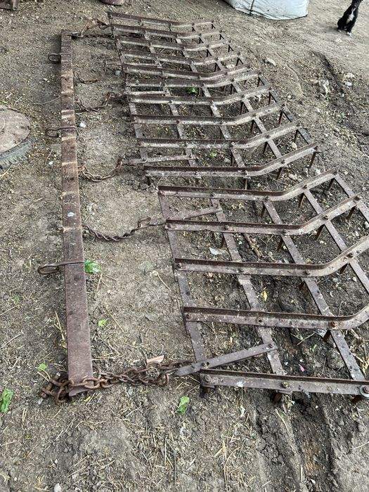 Grapa disc/plug U 650.