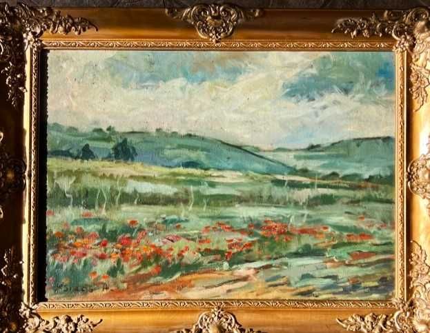 Toabloo VECHI, ”COLINA”, dim-70x50cm+rama, semn