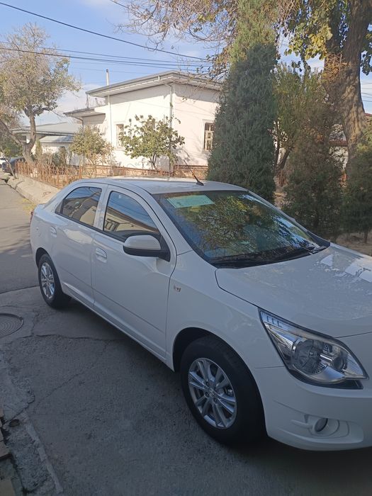 Cobalt mcm style. Nomer taqilgan.