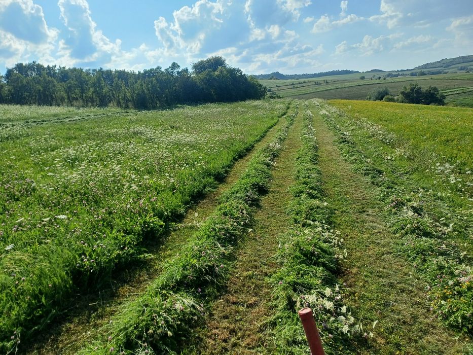 Vind baloti de otava