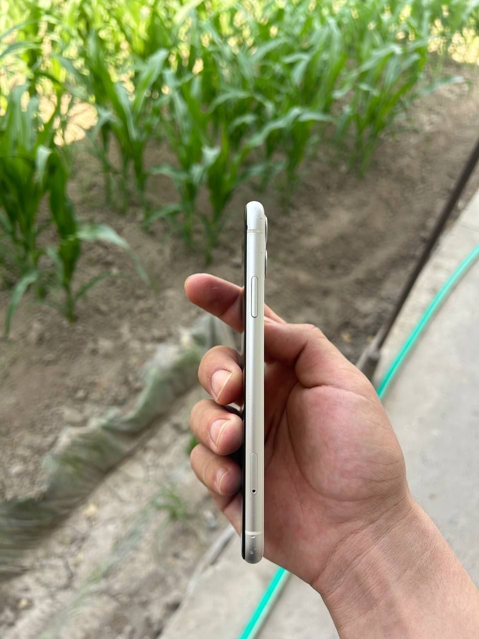 Iphone 11 Sotiladi 2 ta bor Qora rangi ham bor