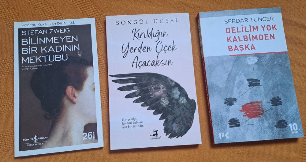 Turk tilidagi kitoblar sotiladi.
Türkçe kitaplar satılıktır.
Hepsi yen