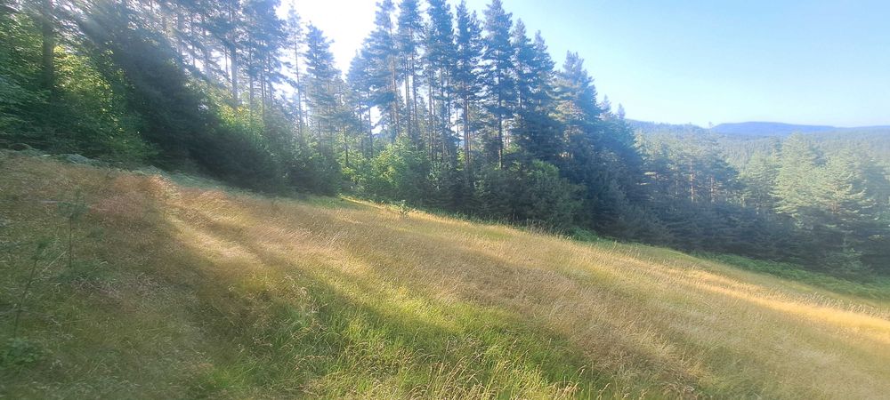 Продава се Земеделски имот в с. Давидково, Област Смолян -  кв.м за 2487 €/дка - Снимка #2