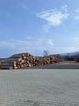 SC PAULA SILVA SRL vinde lemn de foc diverse specii