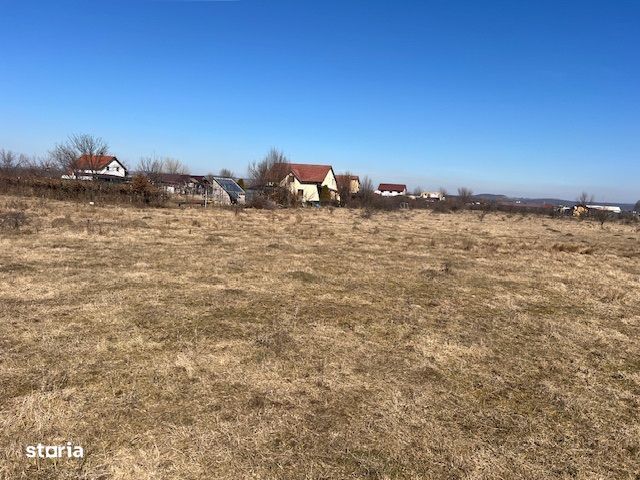 Teren intravilan 859 mp in Calea Cisnadiei, constructii case insiruite