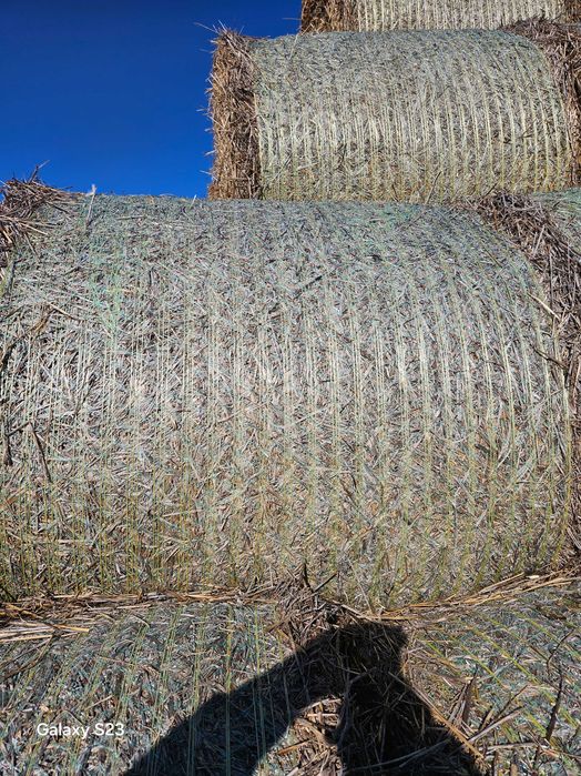 Фолирани бали от люцерна,    и ечемични рулонни бали