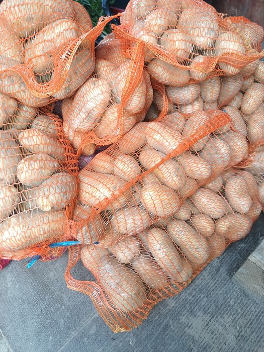 Cartofi albi și rosii