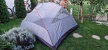 Cort Trimm Globe D