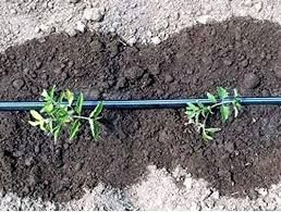 BANDA PICURARE 100ml;500ml;1000m;2000;2500;3000m.PICURARE 10cm,20;30cm